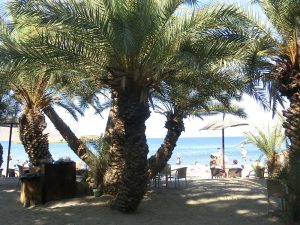 Molo finikounda all day Cafe Bar — photo 4