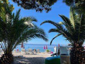 Molo finikounda all day Cafe Bar — photo 6